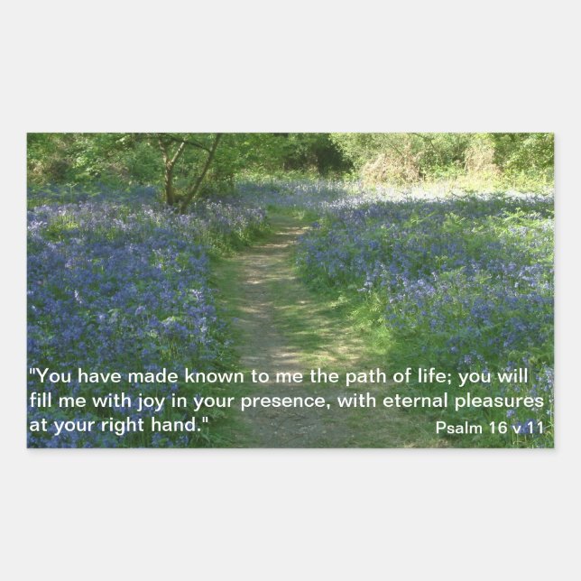 Lebensweg | Aufkleber (Vorderseite)