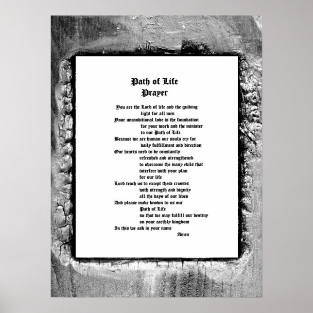 Lebensweg Poster (Vorne)