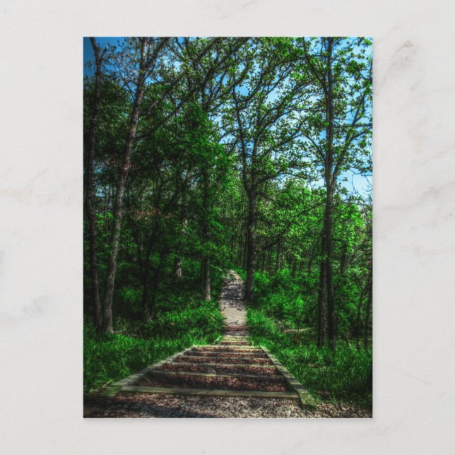 Lebensweg Postkarte (Vorderseite)