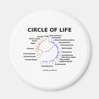 Lebenszirkel (Kreislauf-Phylogenetischer Baum) Magnet
