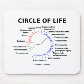 Lebenszirkel (Kreislauf-Phylogenetischer Baum) Mousepad
