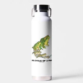 Lebenszyklus eines Frosches von Ei über Kaulquappe Trinkflasche