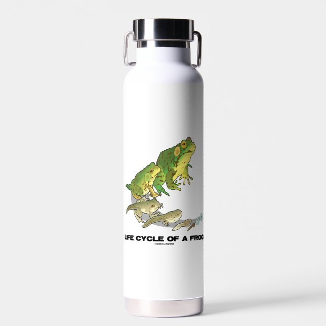 Lebenszyklus eines Frosches von Ei über Kaulquappe Trinkflasche (Vorne)