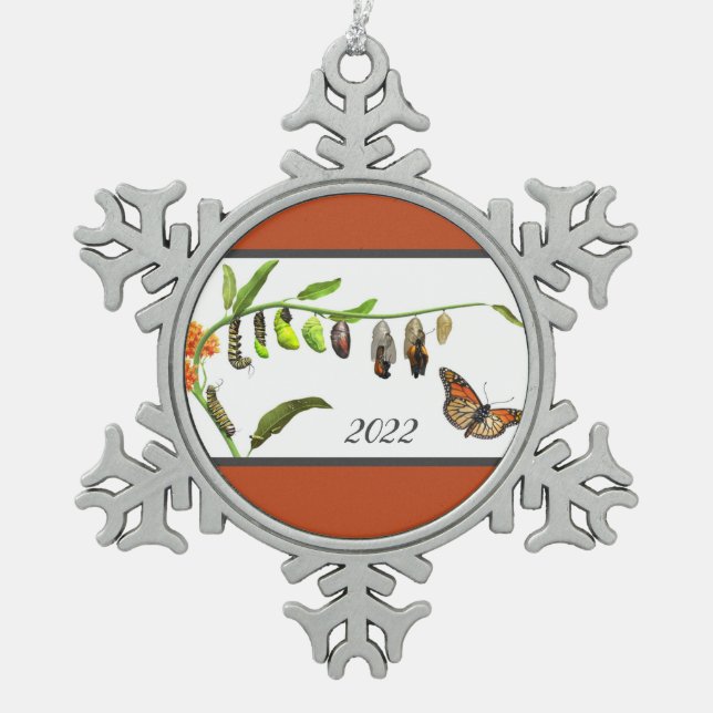 Lebenszyklus eines Schmetterlings Schneeflocken Zinn-Ornament (Vorderseite)