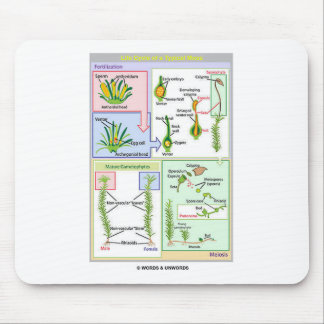 Lebenszyklus eines typischen Mooses (Bryophyte) Mousepad