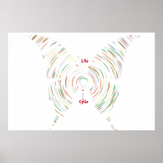 Lebenszyklus Poster (Vorne)