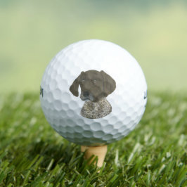 Leber und weißer deutscher Kurzzeiger Golfball