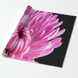 Lebhaft in Pink Dahlia Geschenkpapier