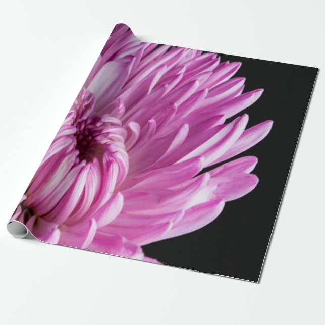 Lebhaft in Pink Dahlia Geschenkpapier (Ungerollt)
