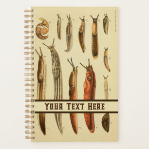Lebhafte antike Slug-Illustration Naturgeschichte Planer