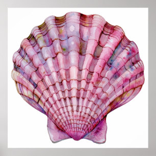 Lebhafte Aquarellfarben-Rosa-Muscheldarstellung Poster