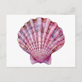 Lebhafte Aquarellfarben-Rosa-Muscheldarstellung Postkarte