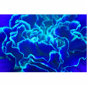 Lebhafte blaue und Aquamarine Carnation-Blume Fotoskulptur Magnet