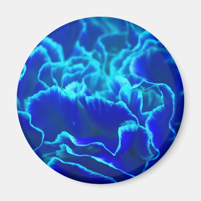 Lebhafte blaue und Aquamarine Carnation-Blume Magnet (Vorne)