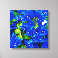 Lebhafte Blue Bougainvillea Blume