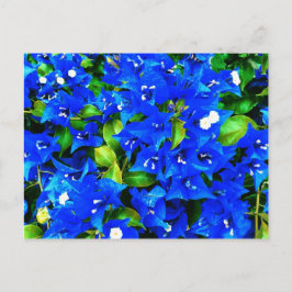 Lebhafte Blue Bougainvillea Blume Postkarte