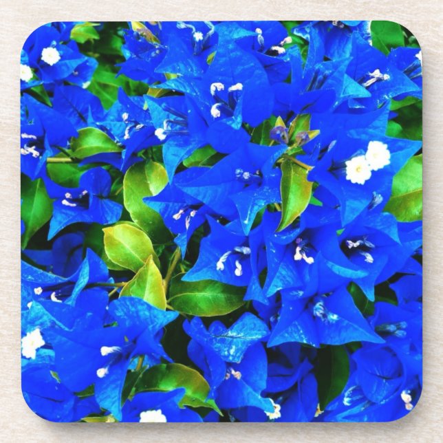 Lebhafte Blue Bougainvillea Blume Untersetzer (Vorderseite)