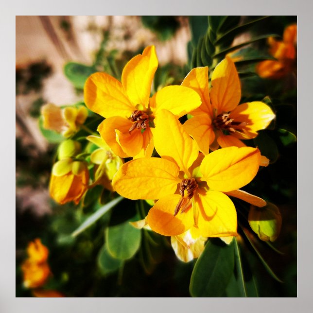 Lebhafte Blume Poster (Vorne)