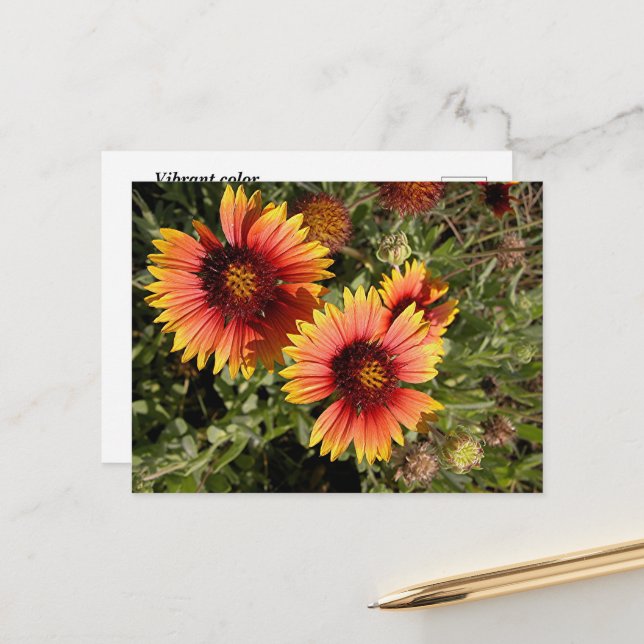 Lebhafte Blume Postkarte (Vorderseite/Rückseite Beispiel)