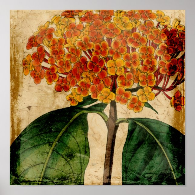 Lebhafte Blüte I Poster (Vorne)