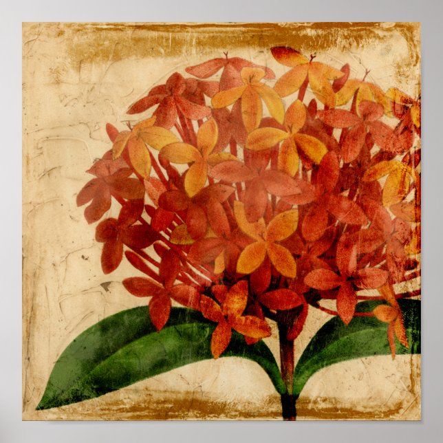 Lebhafte Blüte III Poster (Vorne)