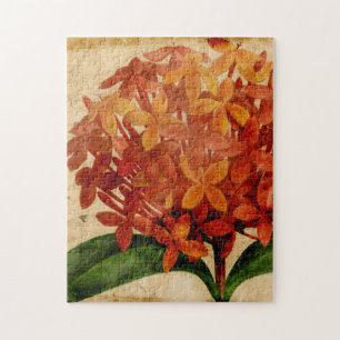 Lebhafte Blüte III Puzzle