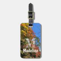 Lebhafte farbige Ahorn