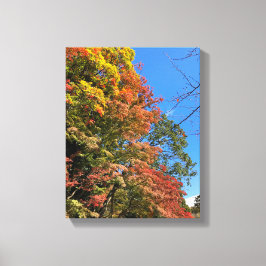 Lebhafte farbige Ahorn Leinwanddruck