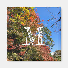 Lebhafte farbige Ahorn Magnet