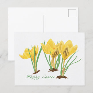 Lebhafte, gelbe Crocus-Blume glücklich Ostern Feiertagspostkarte