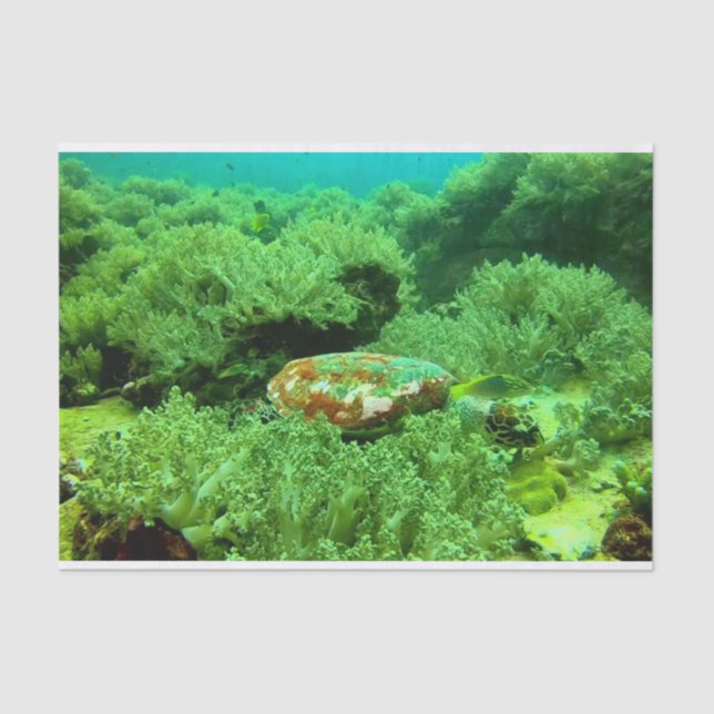 Lebhafte grüne Ozeankoralle und Meeresschildkröten Seidenpapier (Vorderseite)