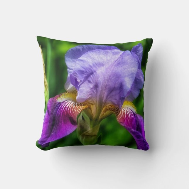 Lebhafte lila blaue und gelbe Iris-Blume Kissen (Vorderseite)