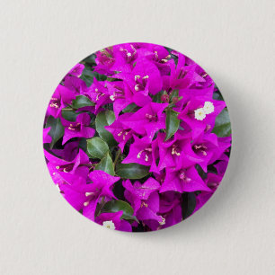 Lebhafte Lila Bougainvillea-Blume Button