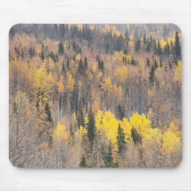 Lebhafte Mousepad im Herbstwald (Vorne)
