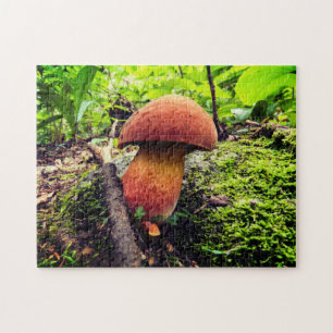 Lebhafte Natur   King Bolete Puzzle