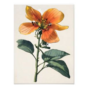 Lebhafte Orange Blume mit üppiger Vegetation Fotodruck