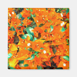 Lebhafte Orange Bougainvillea Blume Magnet