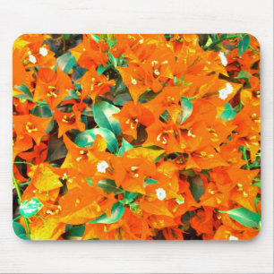 Lebhafte Orange Bougainvillea Blume Mousepad