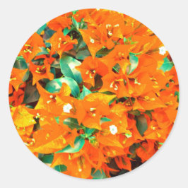 Lebhafte Orange Bougainvillea Blume Runder Aufkleber