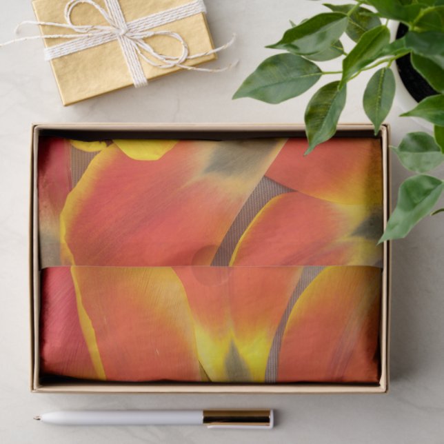 Lebhafte Orange Tulip Petal Fotografie jedes Mal Seidenpapier (Geschenk)