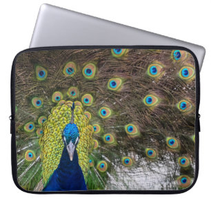 Lebhafte Peacock Feathers Laptopschutzhülle