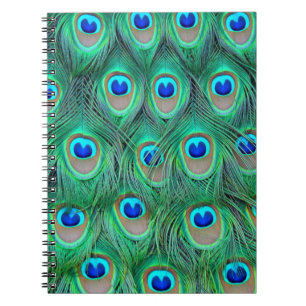 Lebhafte Peacock Feathers Notizblock