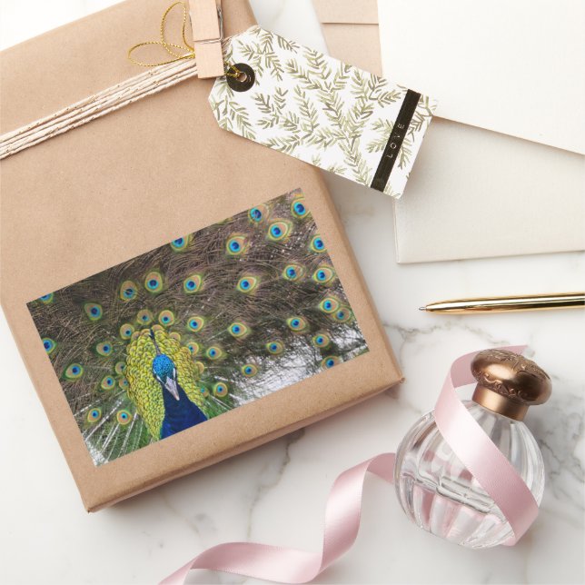 Lebhafte Peacock Feathers Rechteckiger Aufkleber (Schenken)