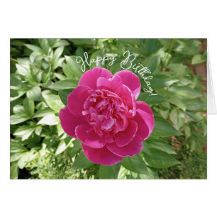 Lebhafte Pink Peony Blume Geburtstagskarte
