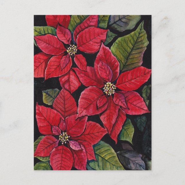Lebhafte Poinsettias in Wasserfarbe Postkarte (Vorderseite)