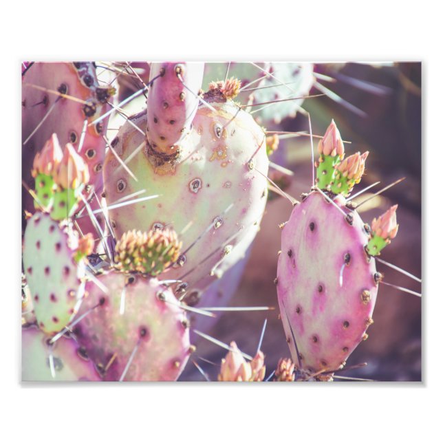 Lebhafte Prickly Pear Closeup | FOTO (Vorne)