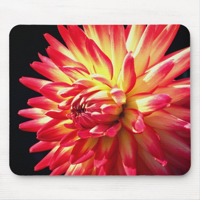 Lebhafte Red Dahlia Blume Mousepad (Vorne)