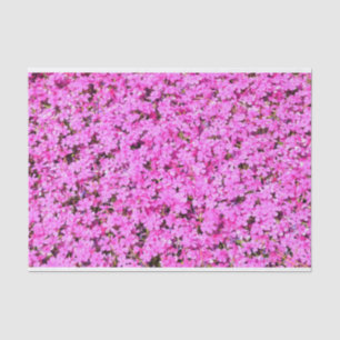 Lebhafte rosa Blüte Seidenpapier