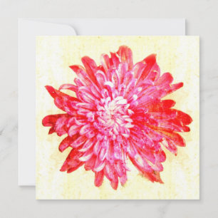 Lebhafte Rosa Chrysanthemum-Blume Einladung