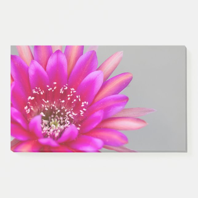 Lebhafte rosa Kaktus Blume Blätter. Post-it Klebezettel (Vorderseite)